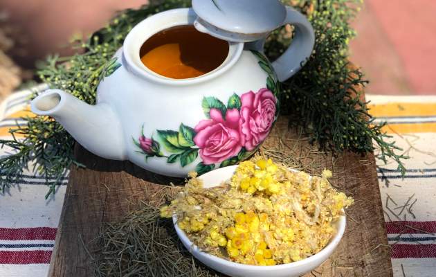 Бессмертник песчаный