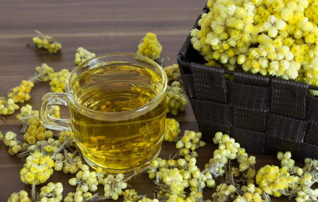 Бессмертник песчаный