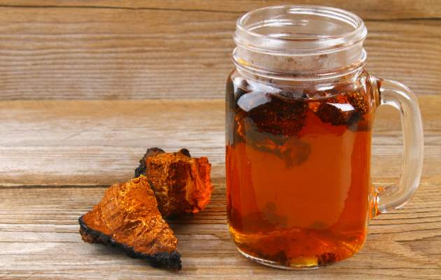 Чага (гриб березы)