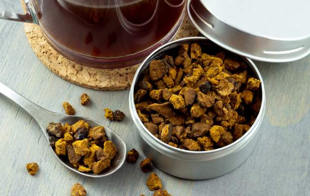 Чага (гриб березы)