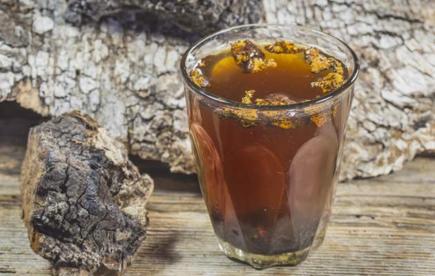 Чага (гриб березы)