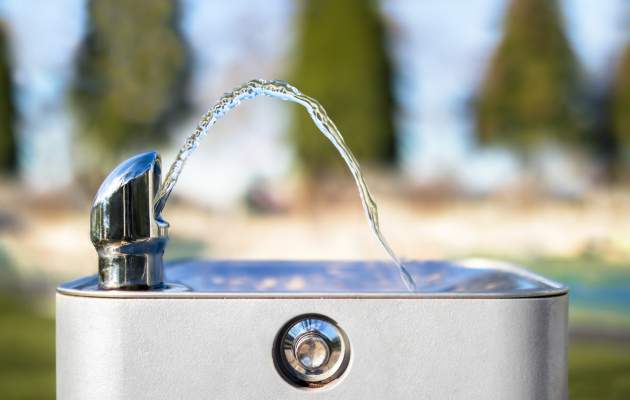 Диета 7 лепестков