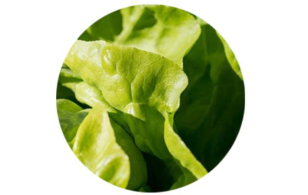 Диета. Фото: Pixabay