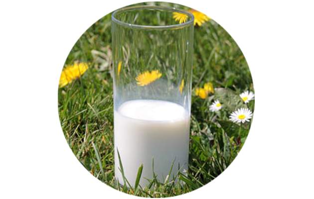 Диета. Фото: Pixabay