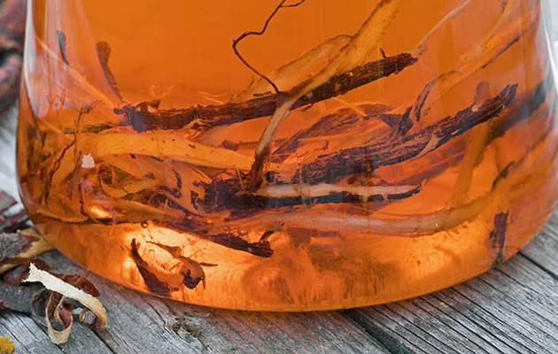 Дубовая кора