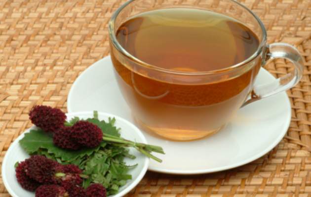 Кровохлебка лечебная