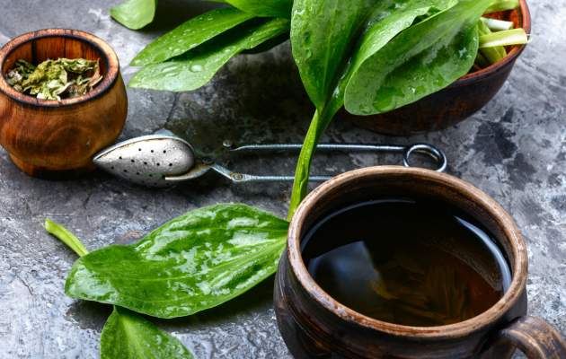 Листья подорожника