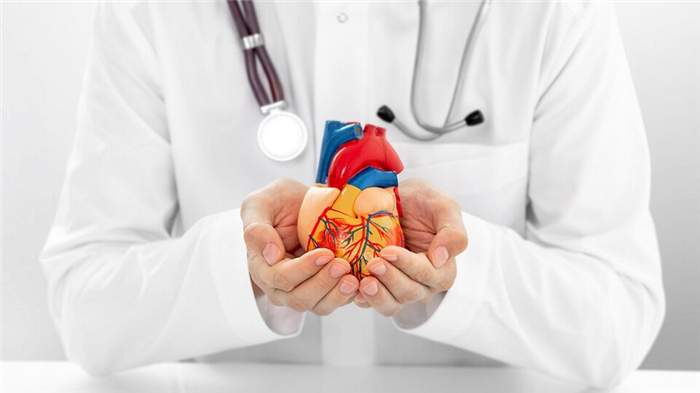 Инфекционный эндокардит у взрослых. Фото: Shutterstock