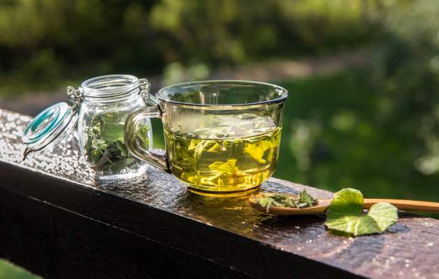 Мать-и-мачеха