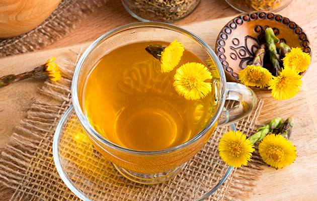 Мать-и-мачеха