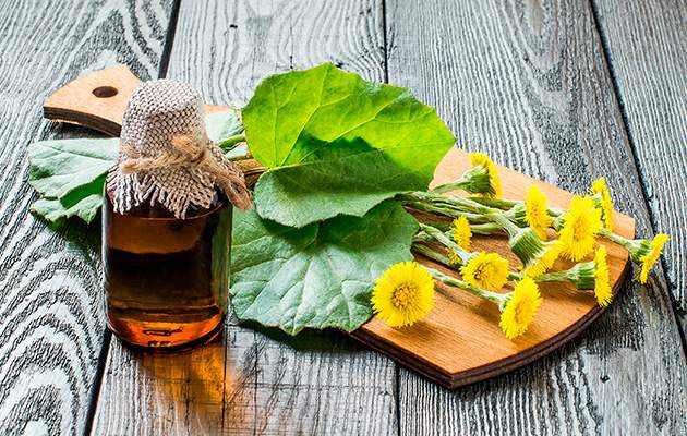 Мать-и-мачеха