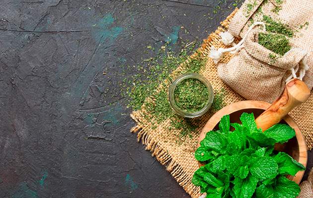 Мята перечная