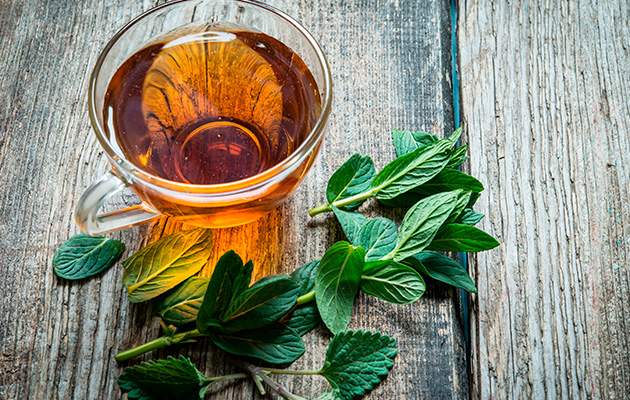 Мята перечная