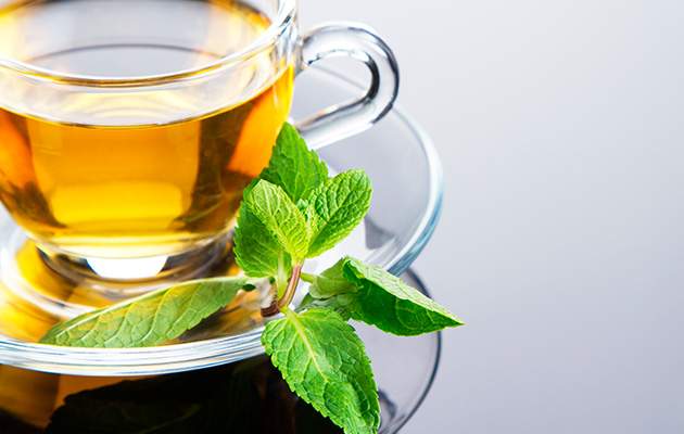 Мята перечная