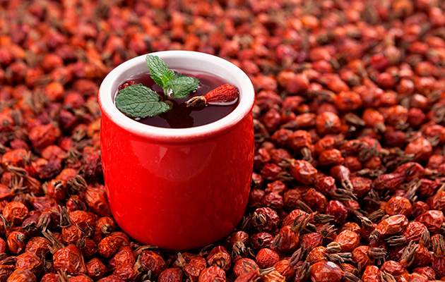 Плоды шиповника