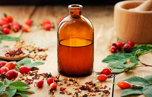 Плоды шиповника