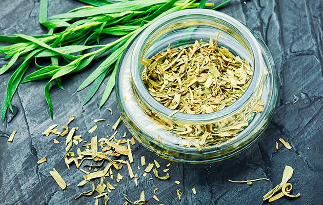 Полынь горькая