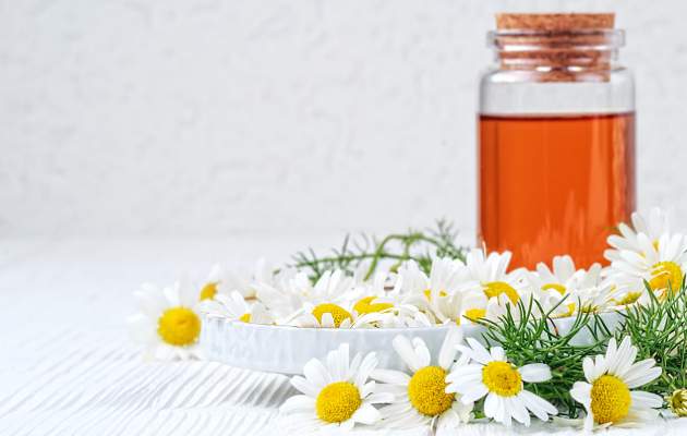 Аптечная ромашка