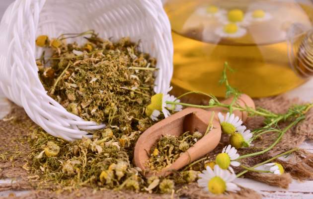 Аптечная ромашка