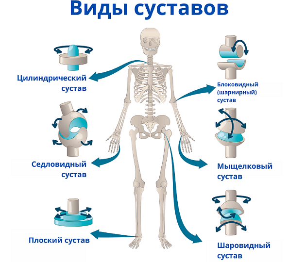 Фото: Shutterstock