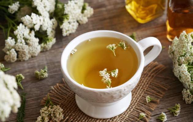 Тысячелистник обыкновенный