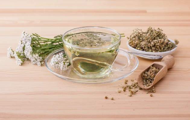 Тысячелистник обыкновенный