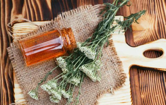 Тысячелистник обыкновенный