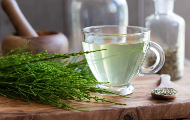 Хвощ полевой