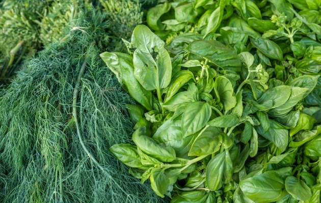 Запор у взрослых