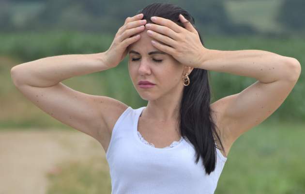 Золототысячник