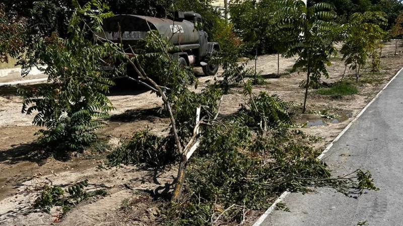 Водовоз снес деревья и врезался в дом в Актау