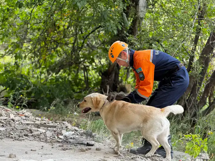 Миссия спасать: цифры, за которыми – судьбы (4)