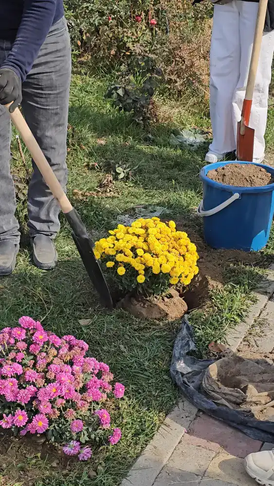 Алматинские школьники приняли участие в акции «Таза Қазақстан» (4)