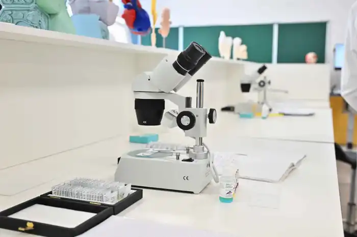 Глава государства ознакомился с деятельностью творческо-инновационной академии «Сыр жұлдыздары» (10)