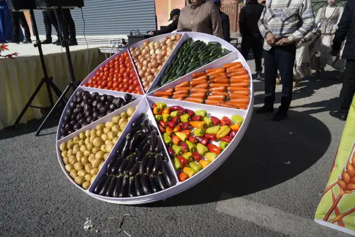 Сельскохозяйственная ярмарка «Алтын күз-2025» (9)