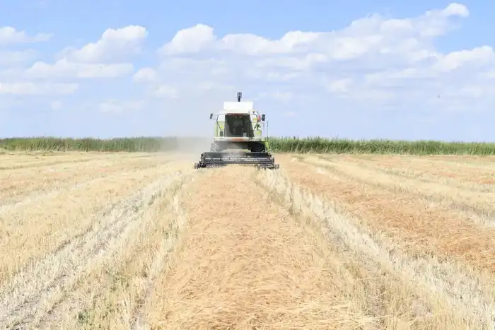 Алматинская область сохраняет рост в агросекторе: рекордные урожаи и инвестиции (4)