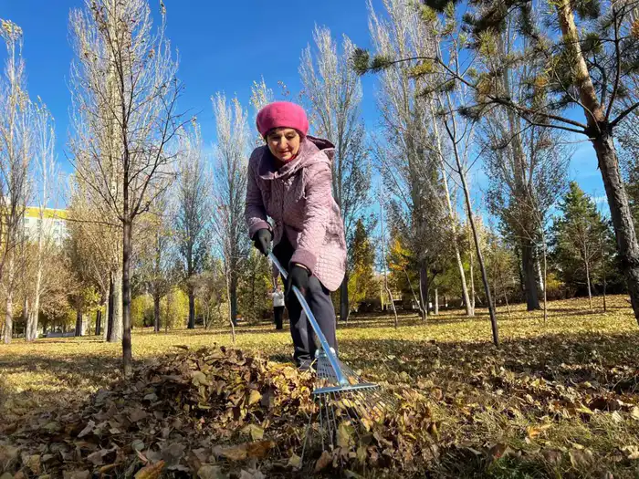 «Таза Қазақстан»: члены АНК посадили на столичной аллее молодые ели (4)