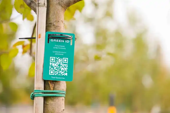 170 дворовых и общественных пространств благоустроили в Астане (4)