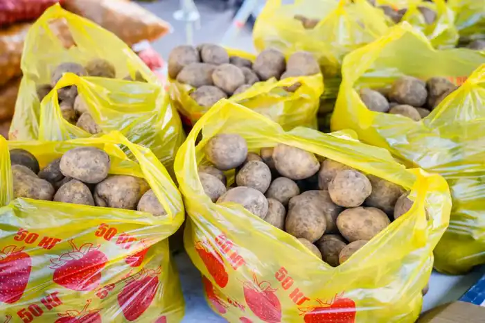 Доступные цены и самые свежие продукты: в Астане проходит ярмарка аграриев Павлодарской и Северо-Казахстанской областей (9)