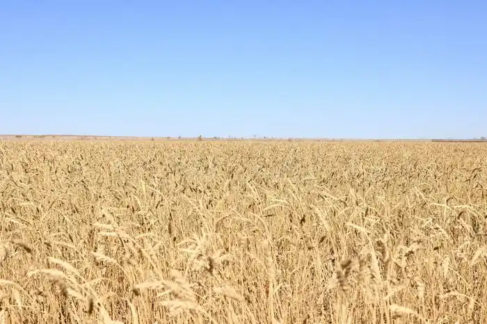 Карагандинская область демонстрирует устойчивый рост экономики (3)