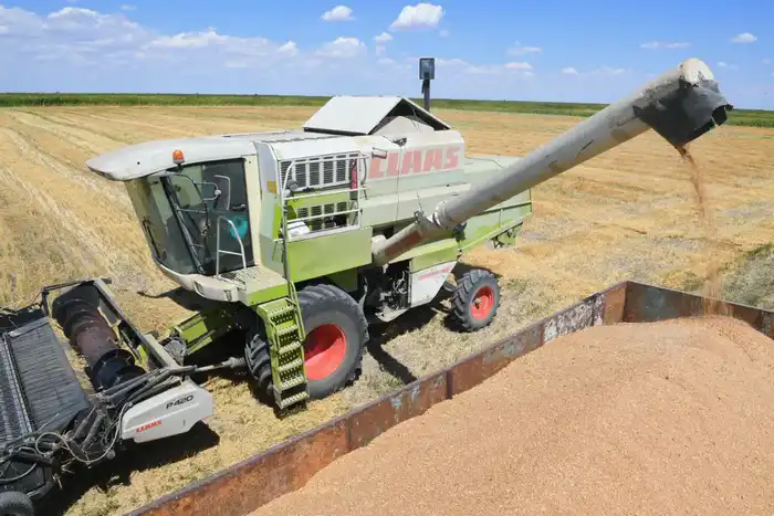 Алматинская область сохраняет рост в агросекторе: рекордные урожаи и инвестиции (5)