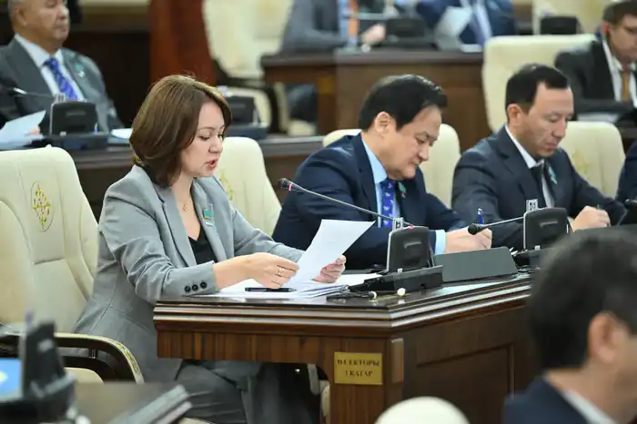 Мажилис утвердил республиканский бюджет на 2026-2028 годы (6)