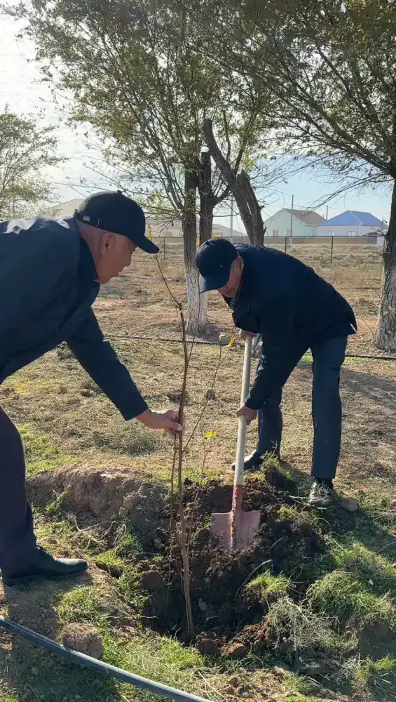 В селе Бодене в рамках акции «Таза Қазақстан» высажено более тысячи саженцев (6)