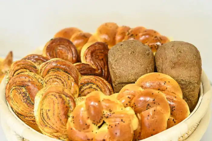 В Кызылорде открылась малая промышленная зона «Тұмар» (2)