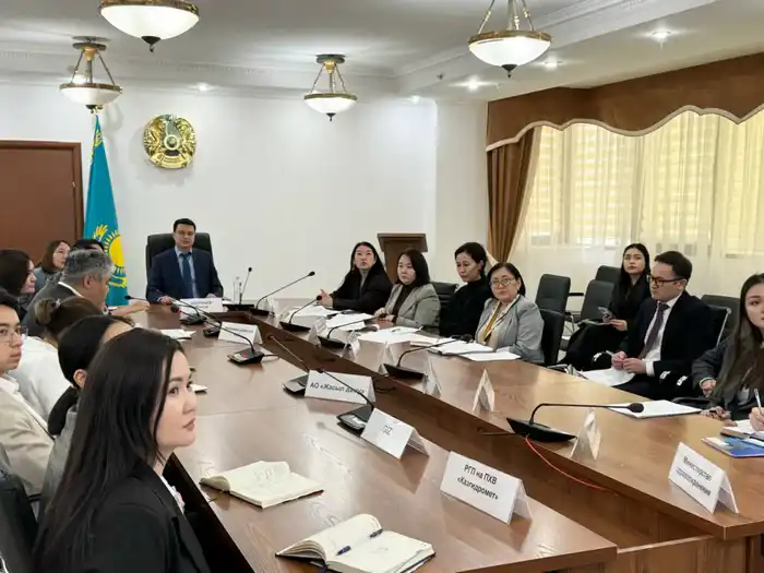 Заседание экспертной группы по разработке Национального адаптационного плана по изменению климата (4)