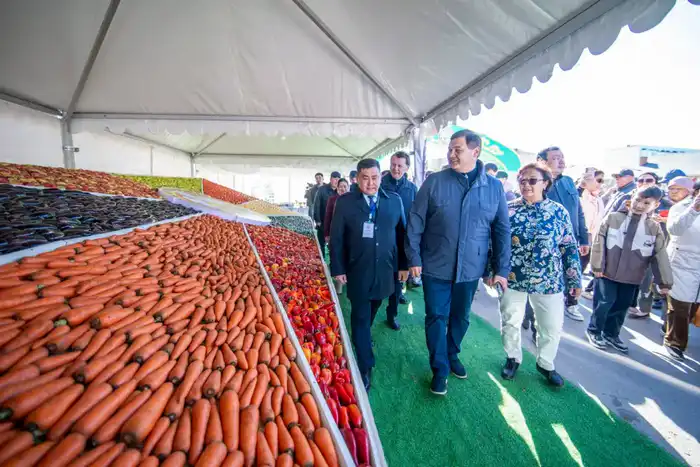 Сельскохозяйственная ярмарка «Алтын күз-2025» (3)