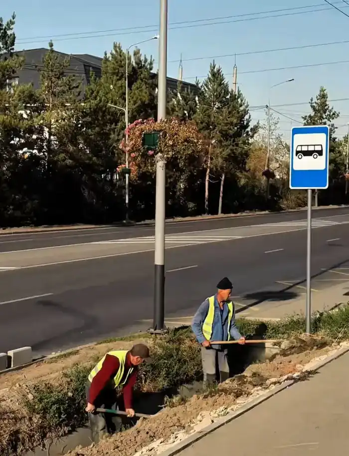 В Наурызбайском районе Алматы реализуется проект по комплексному благоустройству буферных зон (3)