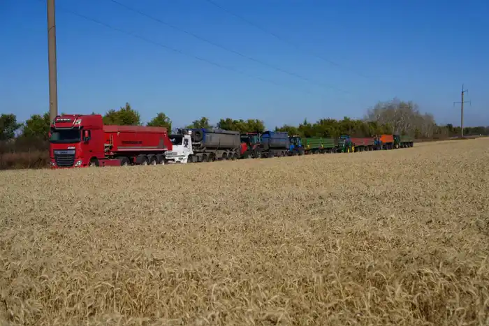 Мегаферма на 8000 голов строится в Северо-Казахстанской области (6)