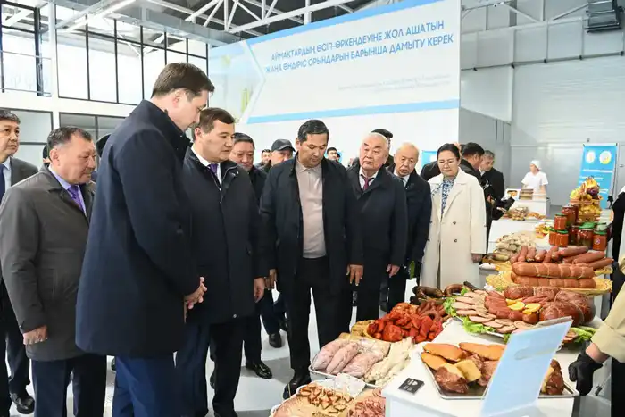 В Кызылорде открылась малая промышленная зона «Тұмар» (8)