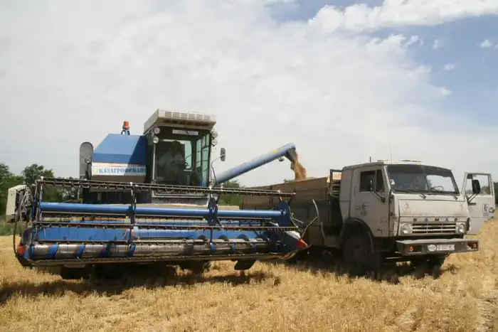Алматинская область сохраняет рост в агросекторе: рекордные урожаи и инвестиции (10)